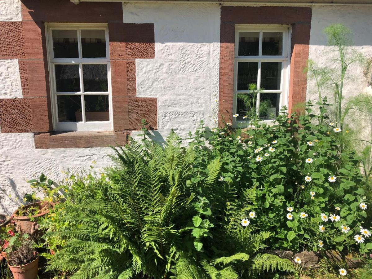 Laundry Cottage Dumfries Bagian luar foto